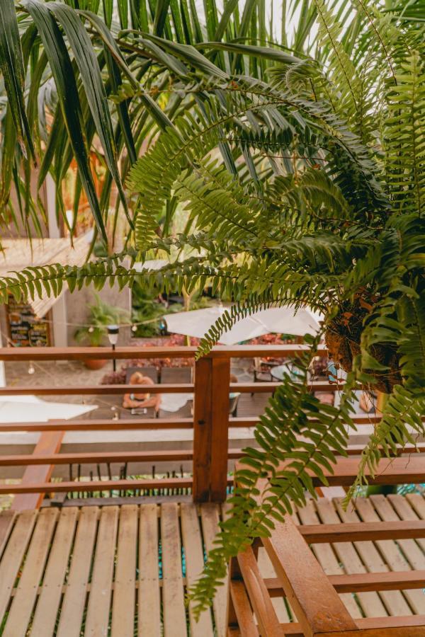Villa Eden Palomino Ngoại thất bức ảnh
